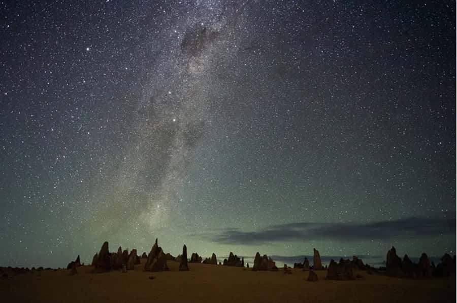 Perth: Pinnacles Desert Sunset & Stargazing with Dinner - Yanchep National Park: koalas and wild kangaroos before the desert