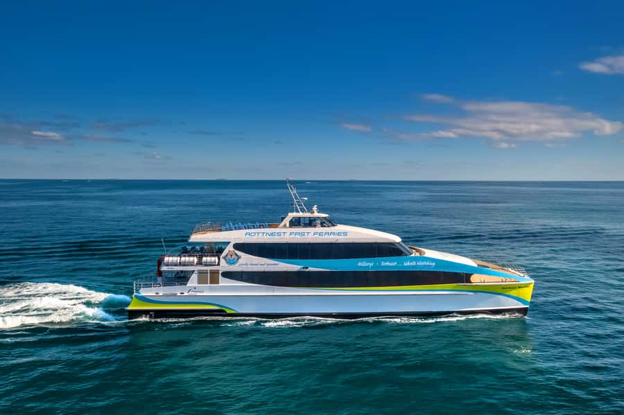 Perth: Rottnest Island Ferry, Bike, Coffee & Lobster Roll - Price and value: is $109 per person actually fair for a one-day Rottnest?