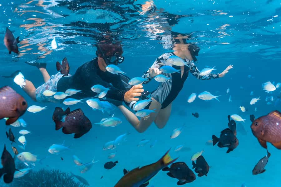 Perth to Exmouth: 6-Day Ningaloo Reef & Coral Coast Tour - Key things that make this Perth to Exmouth trip worth your time
