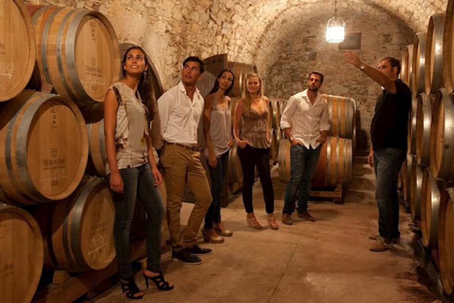 Perth VIP Swan Valley Wine Tour - Premium Small Group Tour - Price and value: what $155 buys you