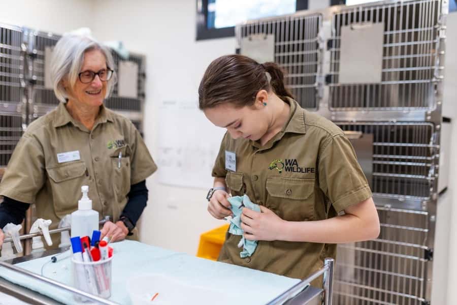 Perth: WA Wildlife Hospital and Native Fauna Encounter Tour - The guide factor: clear explanations and care-focused storytelling
