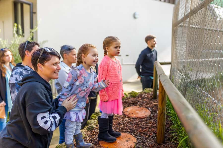 Perth: WA Wildlife Hospital and Native Fauna Encounter Tour - Timing and animal interaction rules: plan your expectations