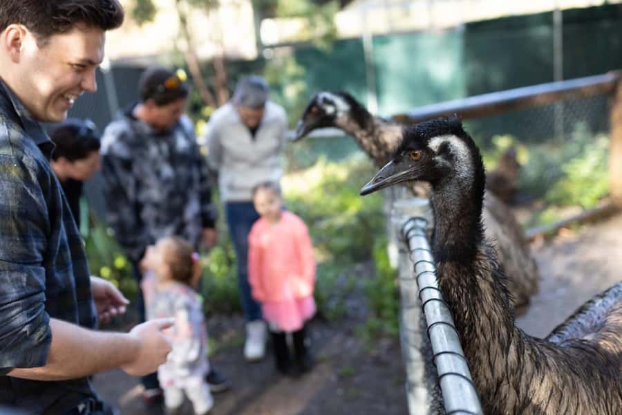 Perth: WA Wildlife Hospital and Native Fauna Encounter Tour - Price and value at about $27 per person