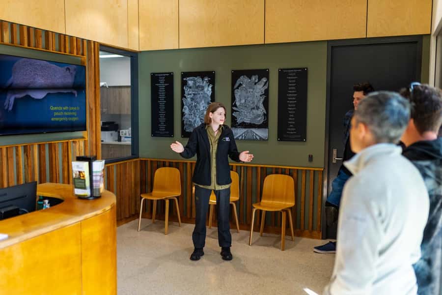 Perth: WA Wildlife Hospital and Native Fauna Encounter Tour - Viewing windows, hygiene, and why “no touch” makes the experience better