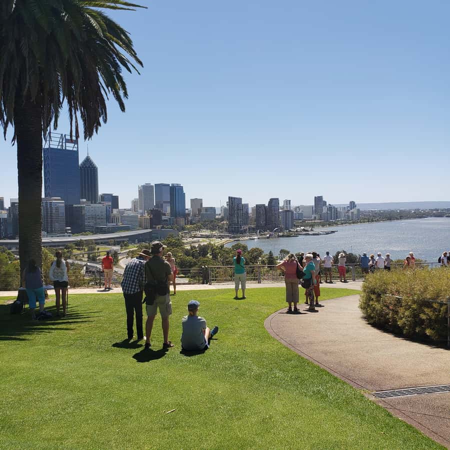 Perth Wildlife Park & City Highlights - Small Group Tours - Kings Park and Botanical Gardens: Perth Views Worth the Day’s Effort