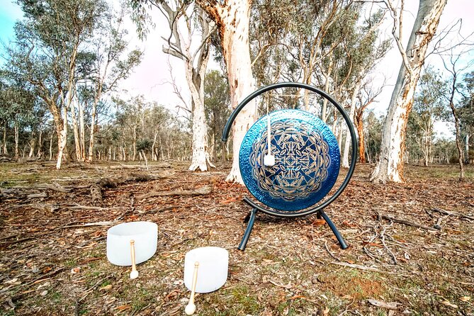 Perth Wildlife Tour Under the Stars with Dinner - The Guided Walk and What It Means for Your Chances