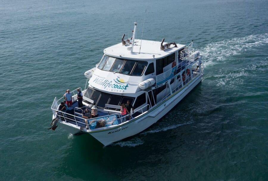 Philip Island: Dolphin and Whale Cruise - Price and value: is $95 worth it?