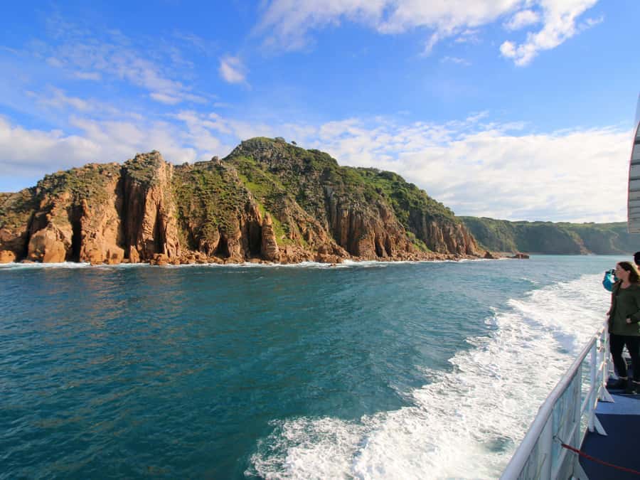 Philip Island: Dolphin and Whale Cruise - Who should book this Phillip Island cruise, and who might not