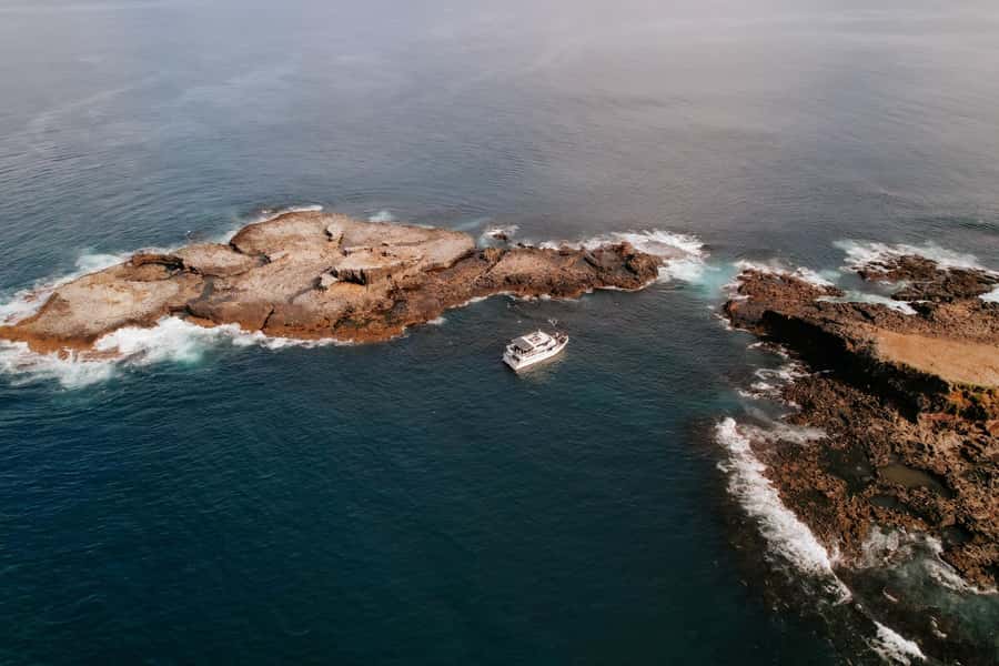 Philip Island: Seal Watching Cruise - Comfort that actually helps when the wind shifts