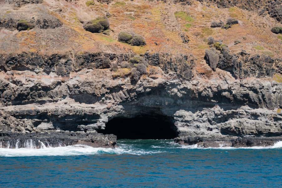 Philip Island: Seal Watching Cruise - Learning to spot what you’re seeing, without turning it into a lecture