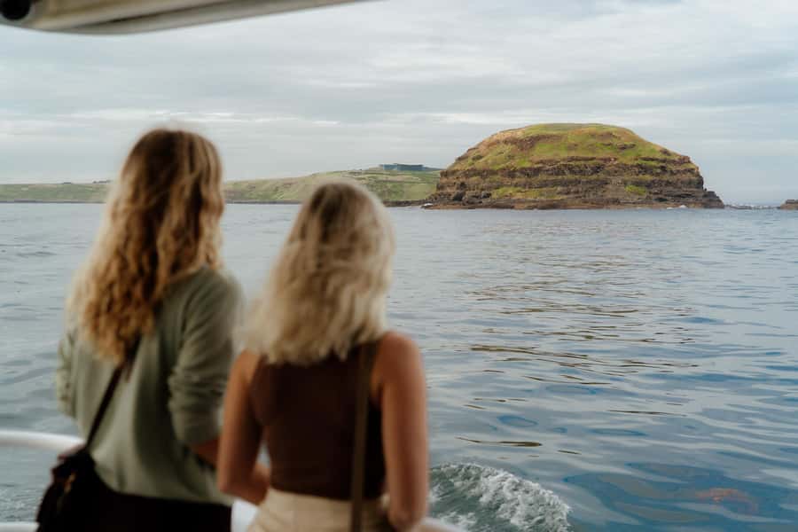 Philip Island: Seal Watching Cruise - The 2-hour flow from Cowes to the seal colony