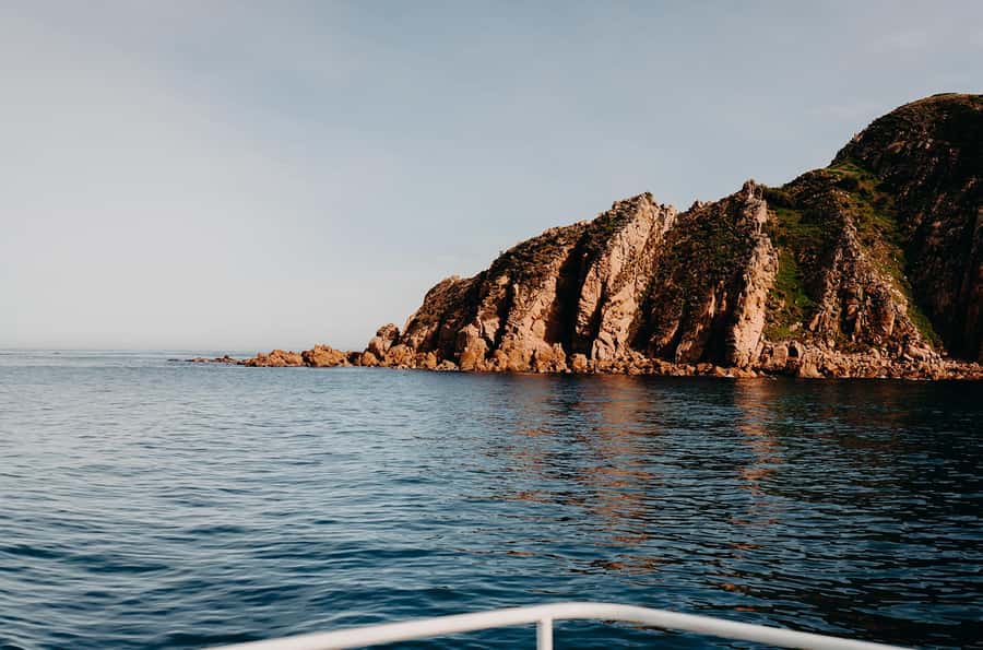 Phillip Island: 1-Hour Cape Woolamai Scenic Cruise - The cake and coffee part, why it’s not an afterthought