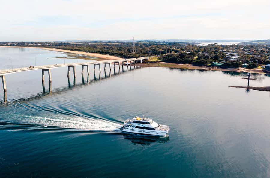 Phillip Island: 1-Hour Cape Woolamai Scenic Cruise - Who this cruise suits best, and who might want another option