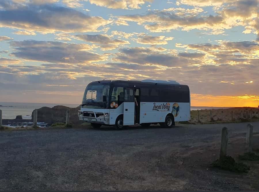Phillip Island: Golden Hour Penguin Express Tour - Should you book this Golden Hour Penguin Express tour?