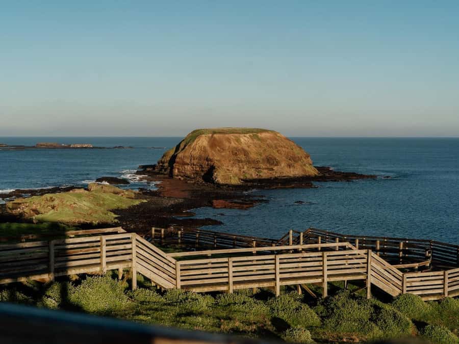 Phillip Island: Golden Hour Penguin Express Tour - FAQ