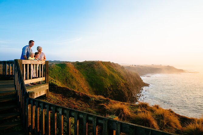 Phillip Island Penguin and Koala Highlights Day-Trip from Melbourne - Key highlights at a glance