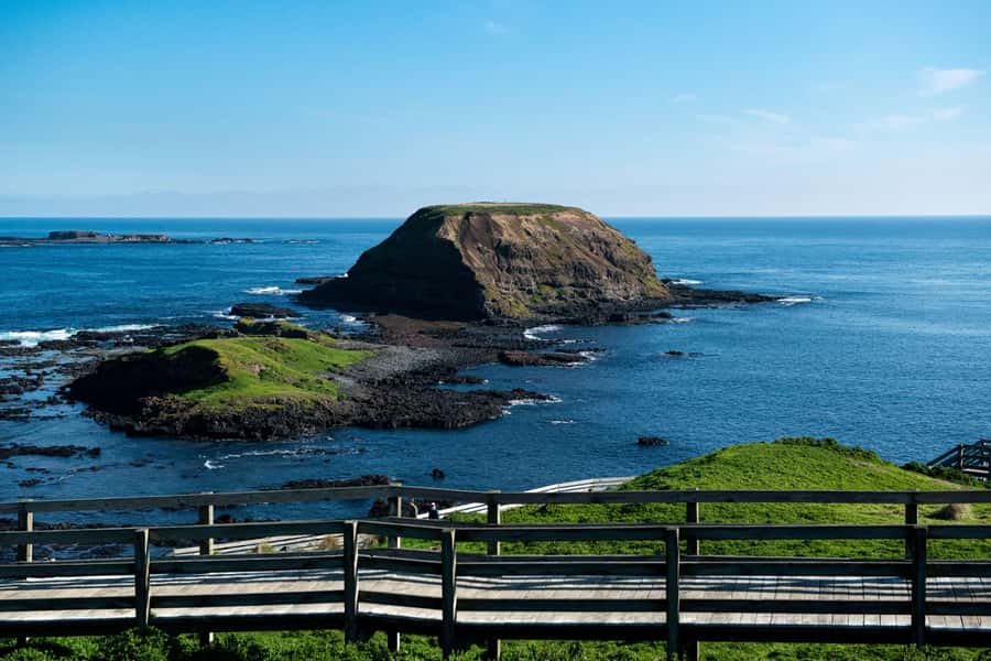 Phillip Island Penguin Direct Sunset Tour - Key highlights that make this tour worth your time