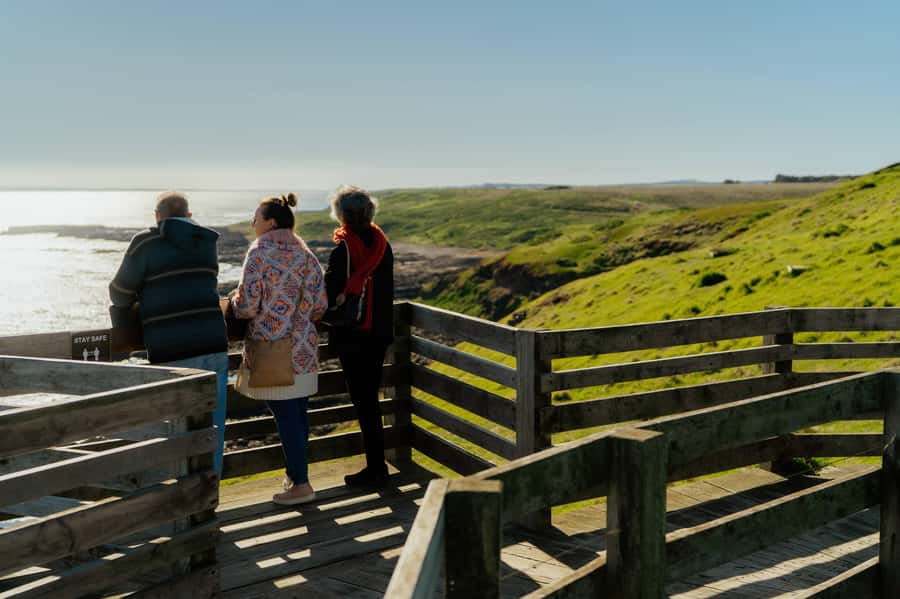 Phillip Island Penguin Direct Sunset Tour - From Her Majestys Theatre to Phillip Islands coast in one smooth run