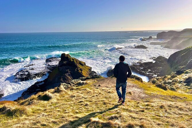 Phillip Island & Penguin Parade Afternoon Eco Tour from Melbourne - Key highlights to know before you go