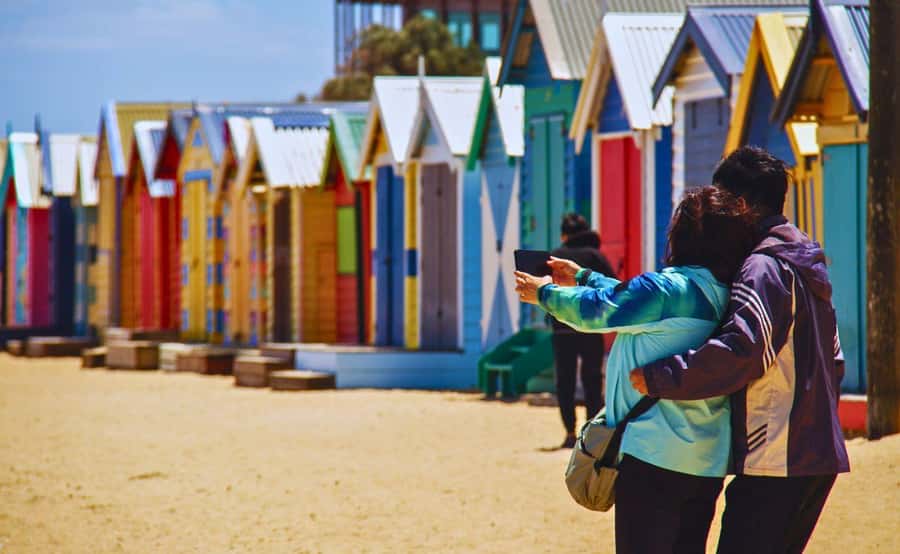 Phillip Island Penguin Parade with Expert Local Guide - Key highlights worth planning around