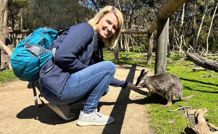Phillip Island Penguin Parade with Expert Local Guide - Should you book the Phillip Island Penguin Parade tour?