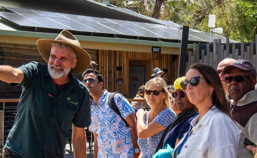 Phillip Island Penguin Parade with Expert Local Guide - Comfort, group size, and what to pack for a cold coastal night