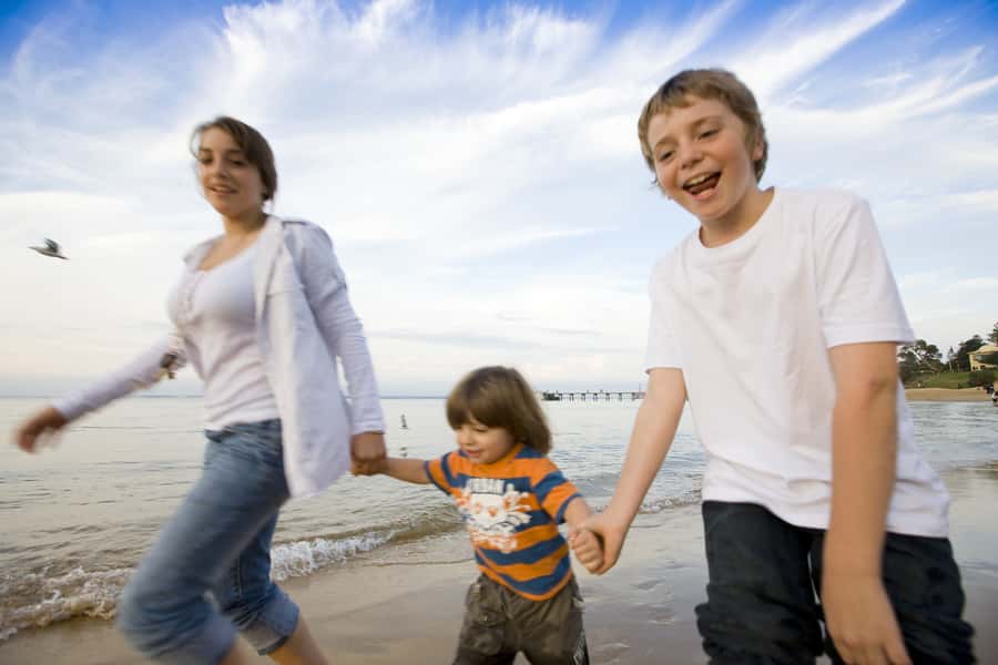 Phillip Island: Penguins and Wildlife Full-Day Tour - Key Things That Make This Tour Work