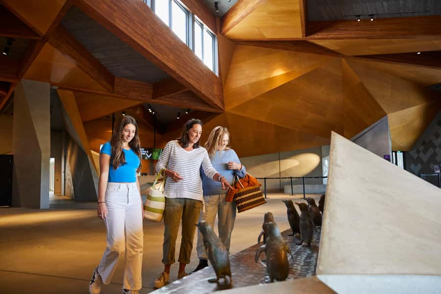 Phillip Island: Penguins and Wildlife Full-Day Tour - Penguin Parade at Sunset: The Boardwalk Moment You Came For