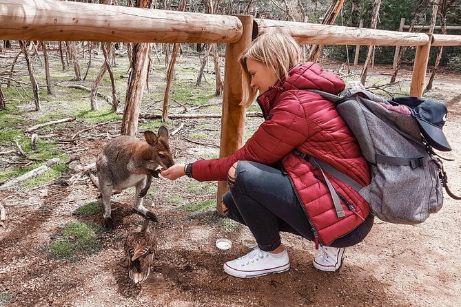 Phillip Island Penguins & Wildlife Day Tour from Melbourne - From Melbourne to Phillip Island, a long but well-paced wildlife day