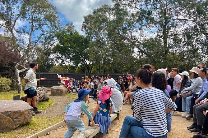 Phillip Island Penguins & Wildlife Day Tour from Melbourne - What to bring, what to wear, and how to save time at the parade