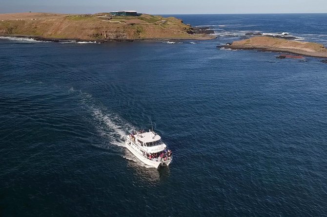 Phillip Island Seal-Watching Cruise - Cowes Jetty to Seal Rocks, a clean 2-hour format