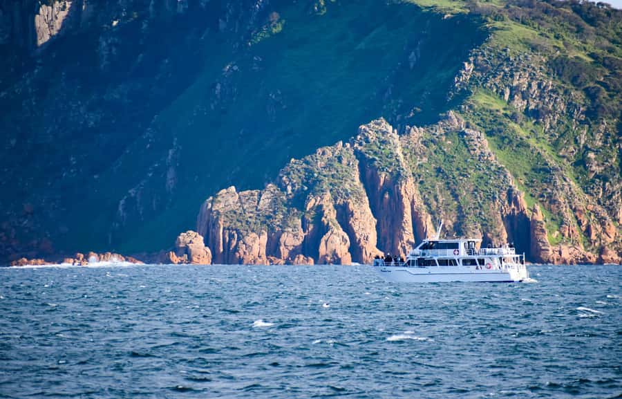 Phillip Island: Whale Watching Boat Tour - Weather, Route Changes, and the Whale Odds You Should Expect