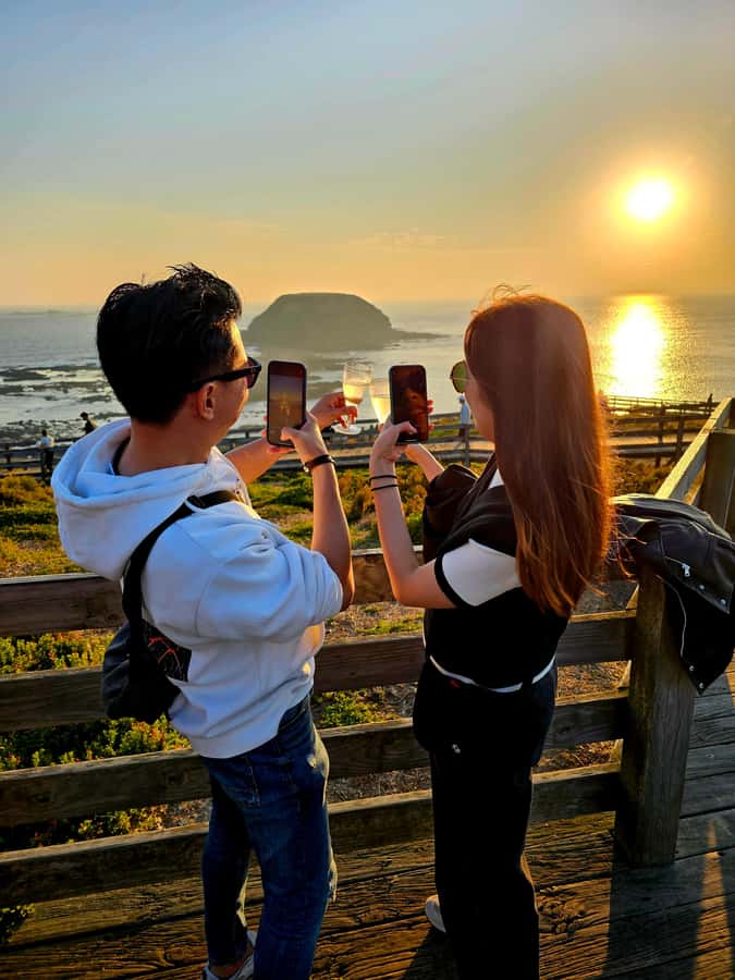 Phillip Island: Wine, Wildlife & Penguins with Gourmet Feast - Cowes as a reset point, not a full day in town