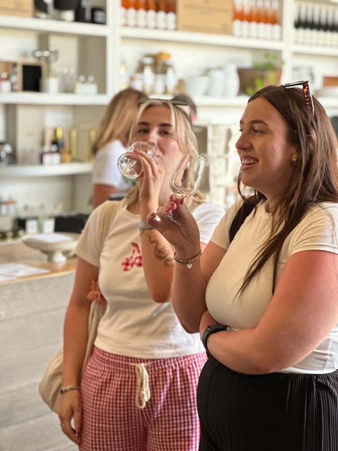 Phillip Island: Wine, Wildlife & Penguins with Gourmet Feast - Who this tour suits best (and who should skip it)