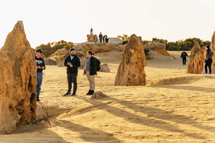 Pinnacles Desert: Sunset BBQ & Stargazing Tour +Sandboarding - Should you book this Pinnacles Sunset BBQ and Stargazing tour?
