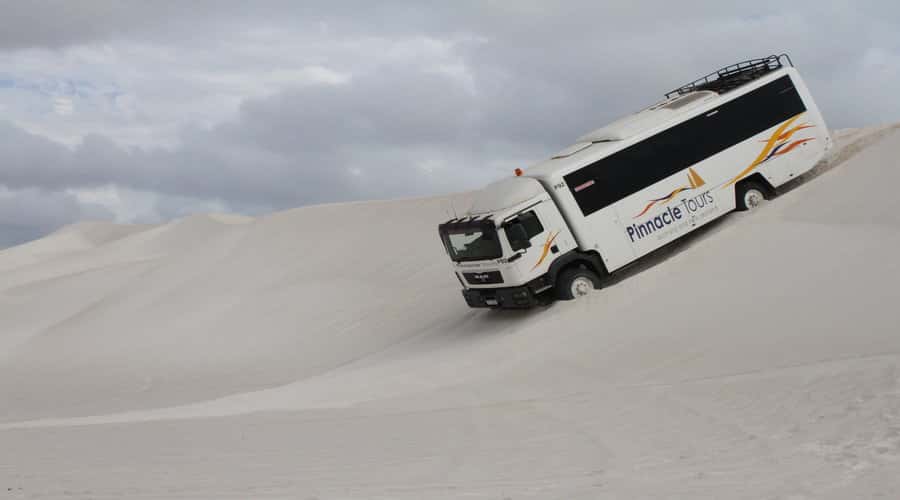 Pinnacles, Koalas, 4WD & Sandboarding Tour from Perth - Key highlights to look for