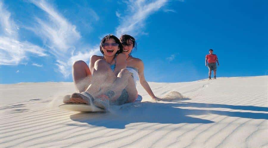 Pinnacles, Koalas, 4WD & Sandboarding Tour from Perth - Caversham Wildlife Park: koalas, wombats, and hand-feeding kangaroos