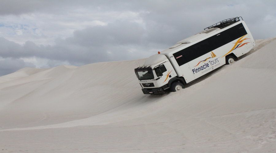 Pinnacles, Koalas, 4WD & Sandboarding Tour from Perth - Price and value: what $176 buys you in real time