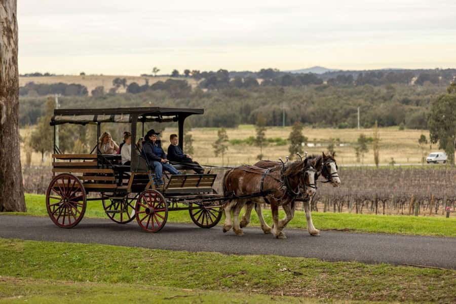 Pokolbin: Harvest the Hunter Horse Drawn Carriage Tour 3hrs - Key points before you go