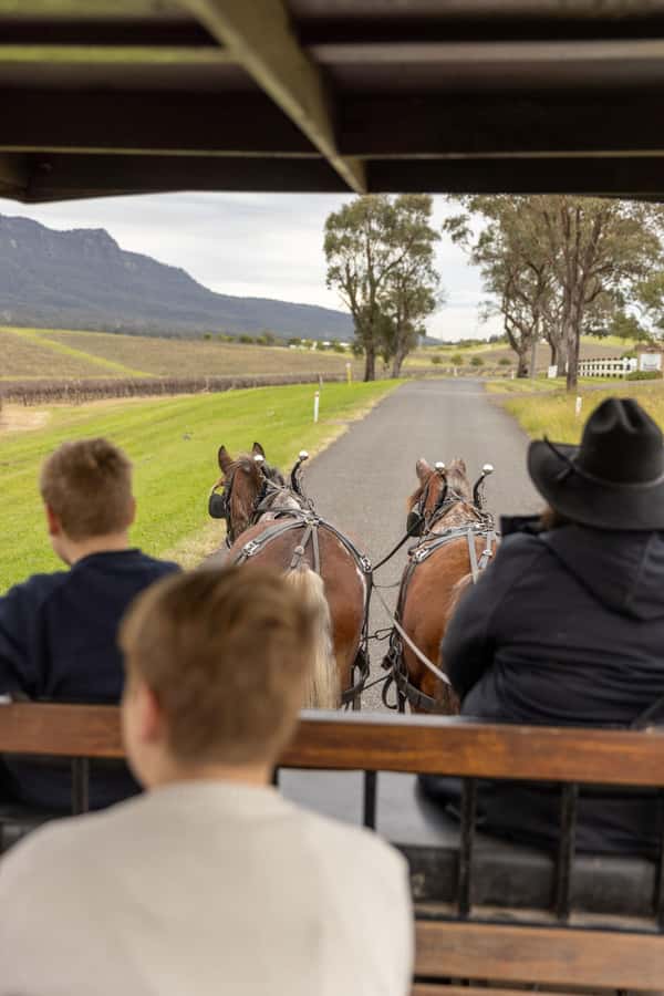 Pokolbin: Harvest the Hunter Horse Drawn Carriage Tour 3hrs - Entering Pokolbin by horse-drawn carriage, not a tour bus