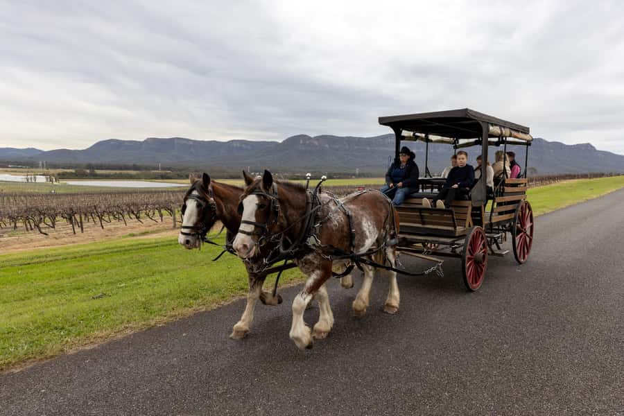 Pokolbin: Harvest the Hunter Horse Drawn Carriage Tour 3hrs - The 1-hour wine tasting stops in Pokolbin: what you’re really paying for