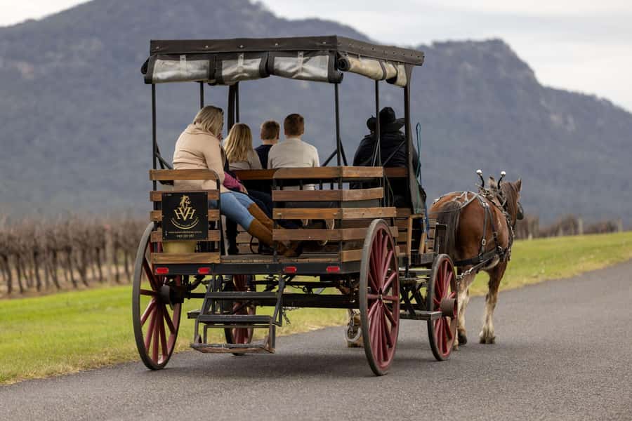 Pokolbin: Harvest the Hunter Horse Drawn Carriage Tour 3hrs - Meeting at Wine House Hunter Valley, and how to find the carriages fast