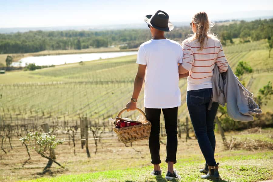 Pokolbin: Picnic & Wine Tasting at Audrey Wilkinson Vineyard - The 90-minute flow, museum first then master class then picnic
