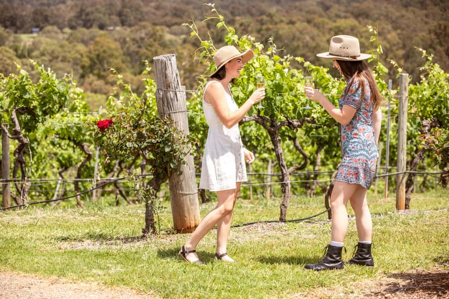 Pokolbin: Picnic & Wine Tasting at Audrey Wilkinson Vineyard - Should you book the Audrey Wilkinson Picnic and Wine Tasting?