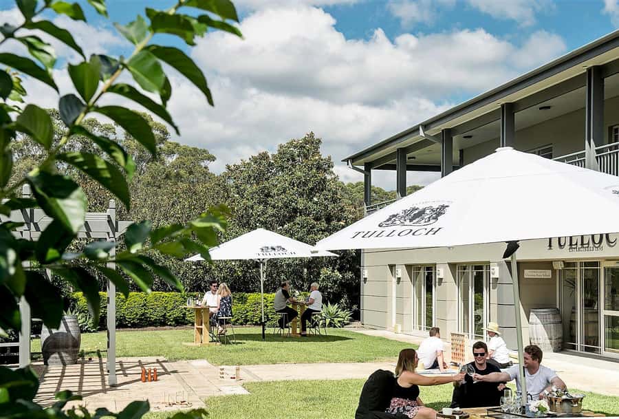 Pokolbin: Tulloch Hunter Heroes Wine Tasting & Cheese Board - Semillon, Shiraz, Chardonnay, Verdelho, What to Watch For