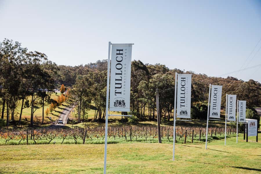 Pokolbin: Tulloch Hunter Heroes Wine Tasting & Cheese Board - The Cheese and Charcuterie Board, Where the Fun Happens