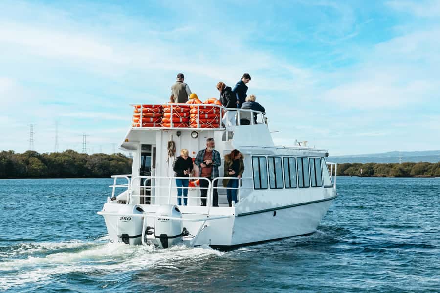 Port Adelaide: Dolphin and Ships Graveyard Cruise - Key points to know before you go