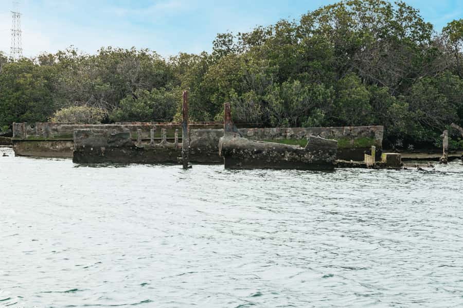 Port Adelaide: Dolphin and Ships Graveyard Cruise - Price and value: is $62 worth it?