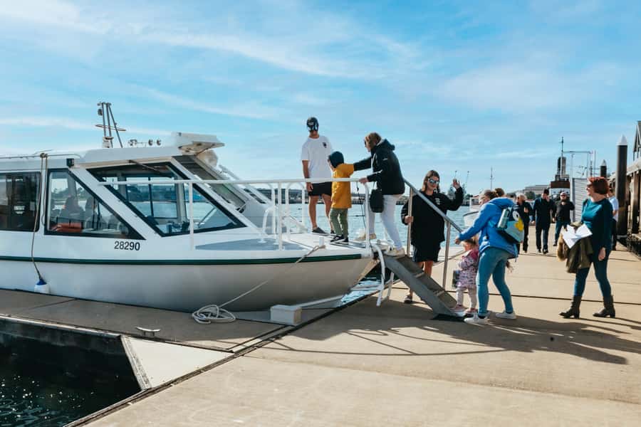 Port Adelaide: Dolphin and Ships Graveyard Cruise - International Bird Sanctuary pass: shorebirds and Aussie favorites