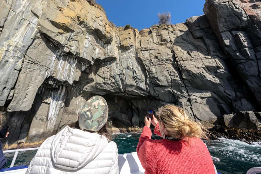 Port Arthur: Cape Raoul Wilderness Cruise - Key highlights you should not miss